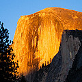 Half Dome Yosemite at Sunset